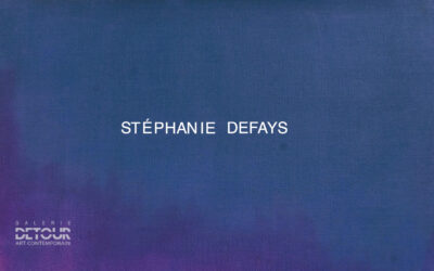 Teaser de l&rsquo;exposition de Stéphanie Defays