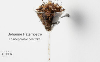 Teaser de l&rsquo;exposition de Jehanne Paternostre