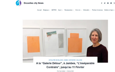 ON PARLE DE L&rsquo;EXPOSITION  » L&rsquo;INSÉPARABLE CONTRAIRE  » SUR LA TOILE