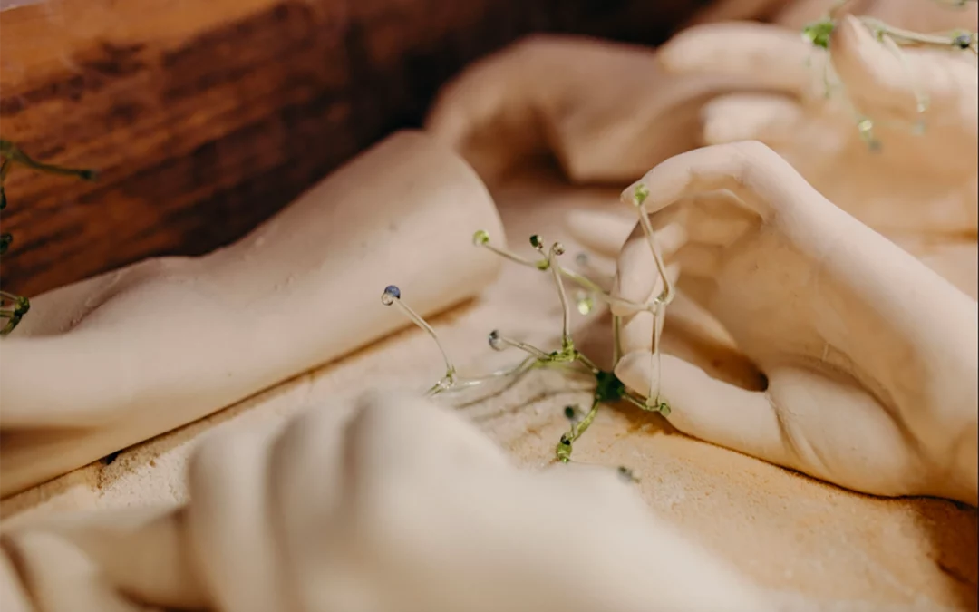 Conférence  « Quand l&rsquo;art est fragile »