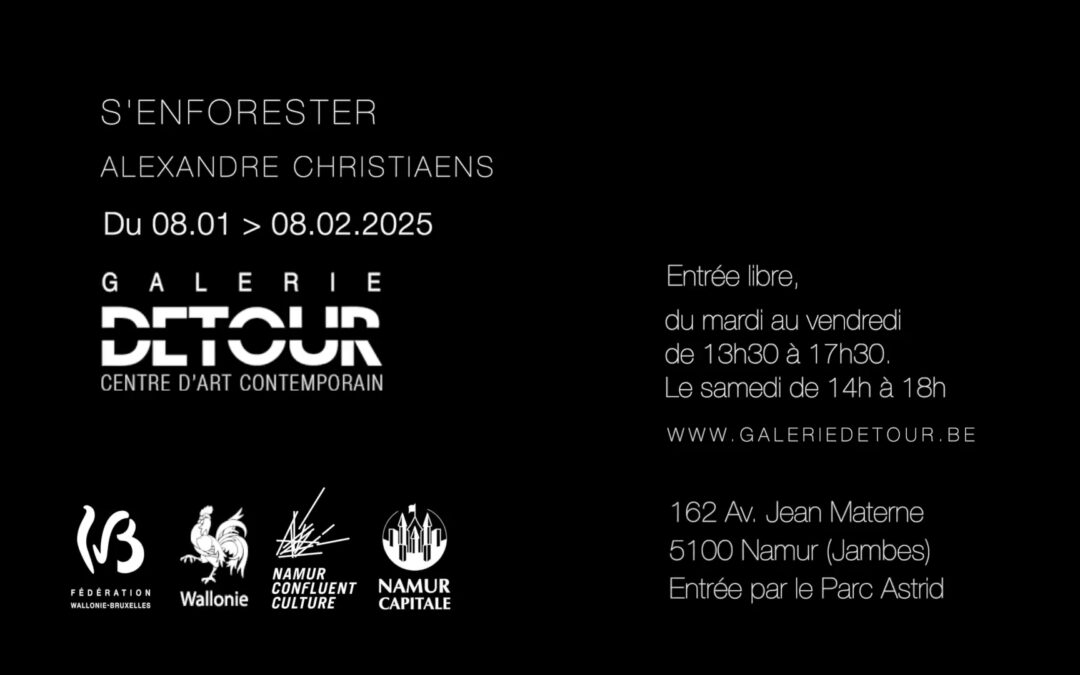 Teaser de l&rsquo;exposition le lieu manquant de Ch Buekenhoudt